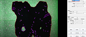 AI intelligent leather nesting system